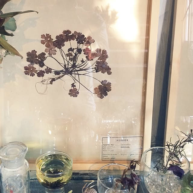 taka55さんの実例写真