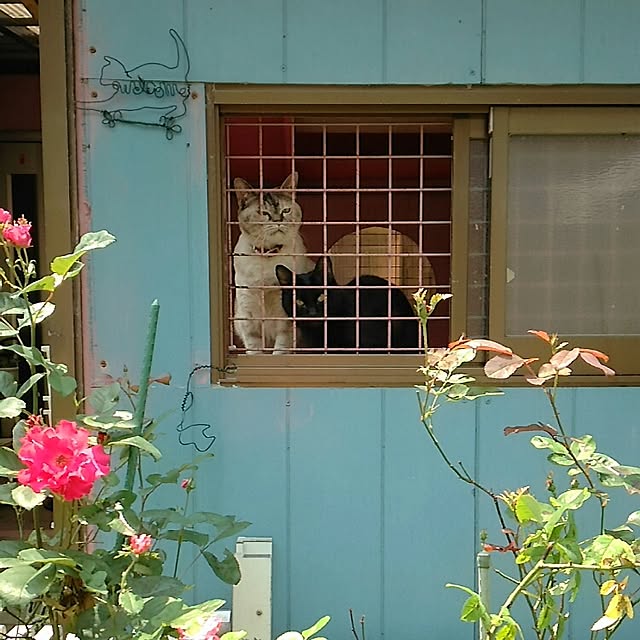 mcomcoさんの実例写真