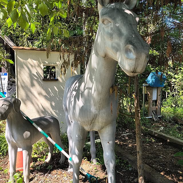 Takeshiさんの部屋