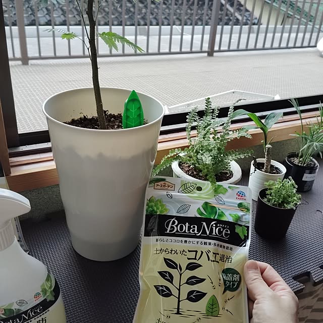 momomamaさんの部屋