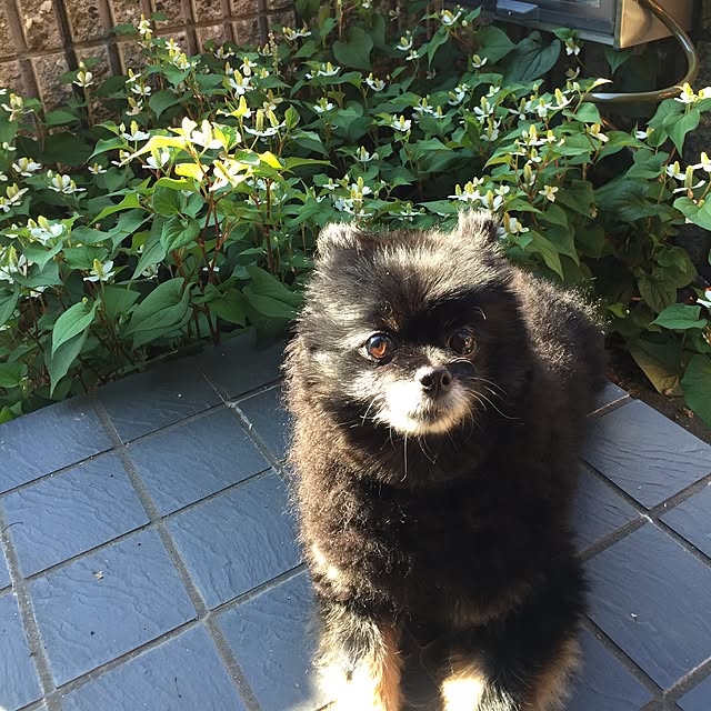 seikoyrsさんの実例写真