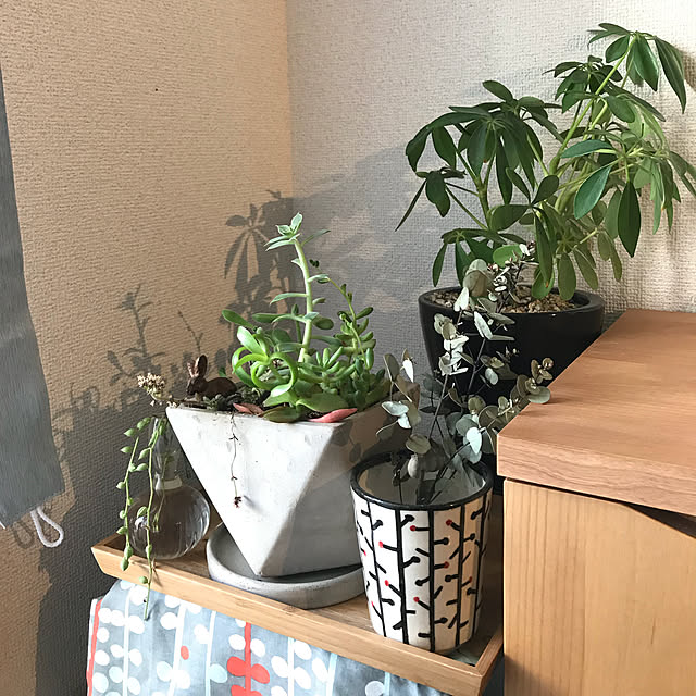 plum_villageさんの実例写真