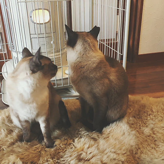 Rさんの実例写真