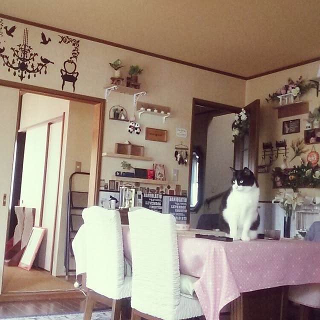 実例写真