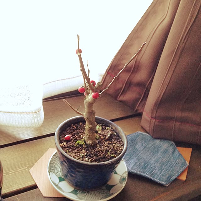 lockさんの実例写真