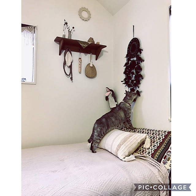 maroさんの実例写真