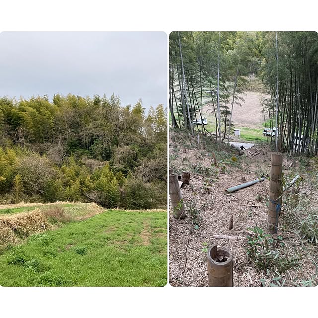 ToReTaRiさんの部屋