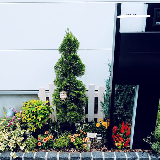 Qtaroさんの実例写真