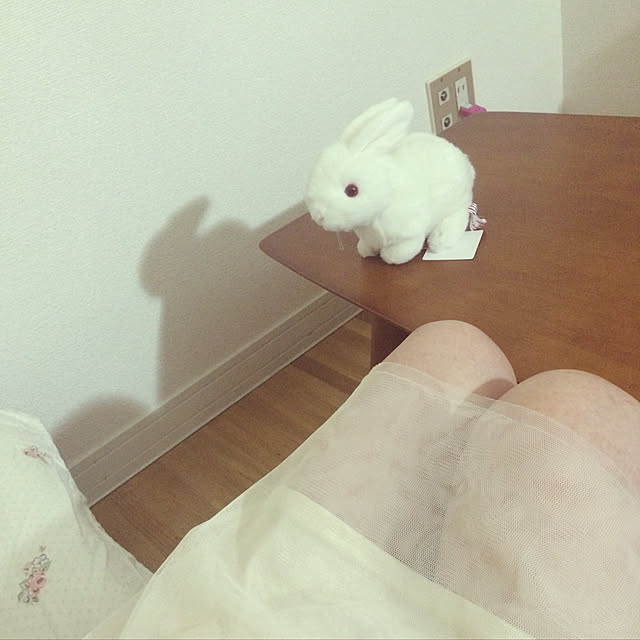 rootk2さんの実例写真