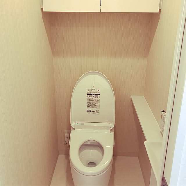 hotbiscuitsさんの実例写真