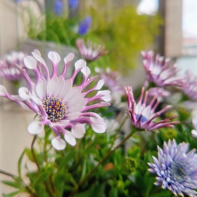 YuriYuriさんの部屋