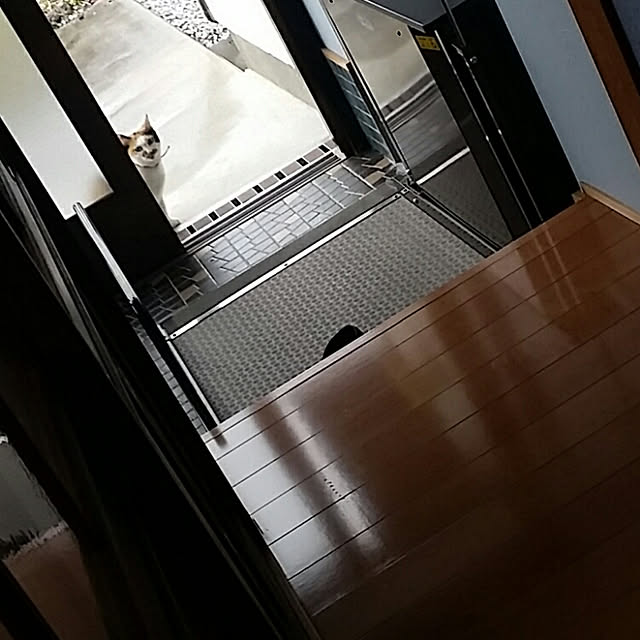 lemoned1126さんの実例写真