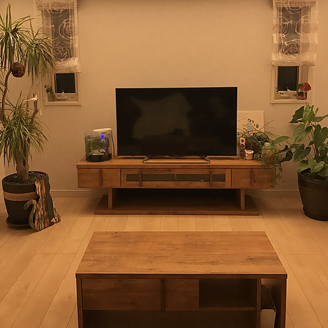 halemi213さんの実例写真