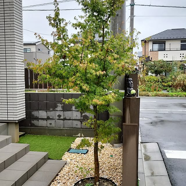 shifonさんの部屋
