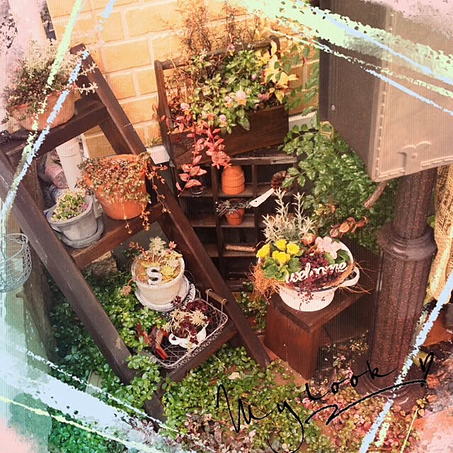 Tomokoさんの実例写真