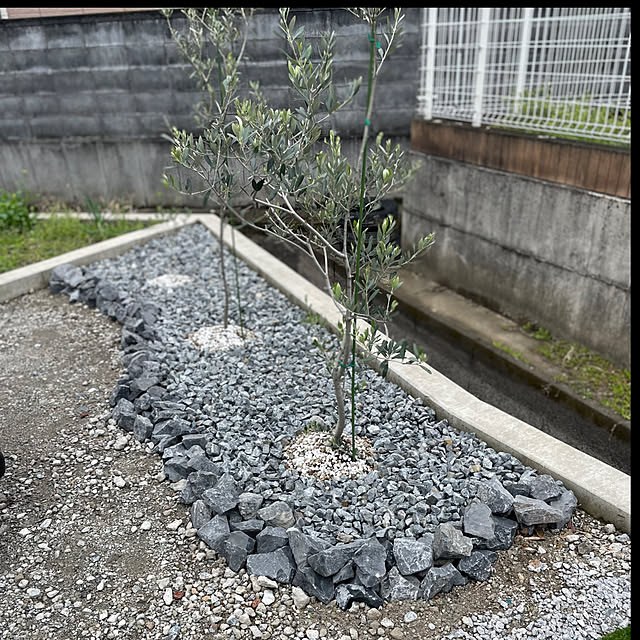 busukaさんの実例写真