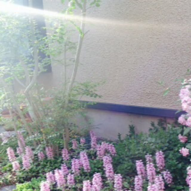 tomoさんの実例写真