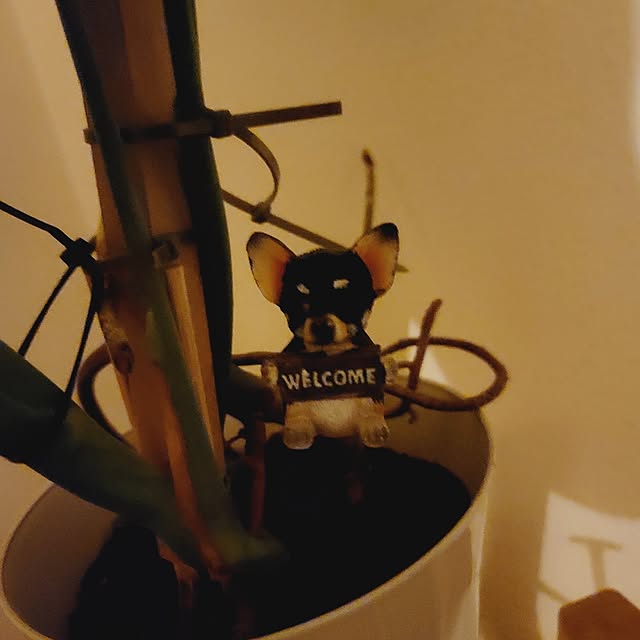 sinさんの部屋