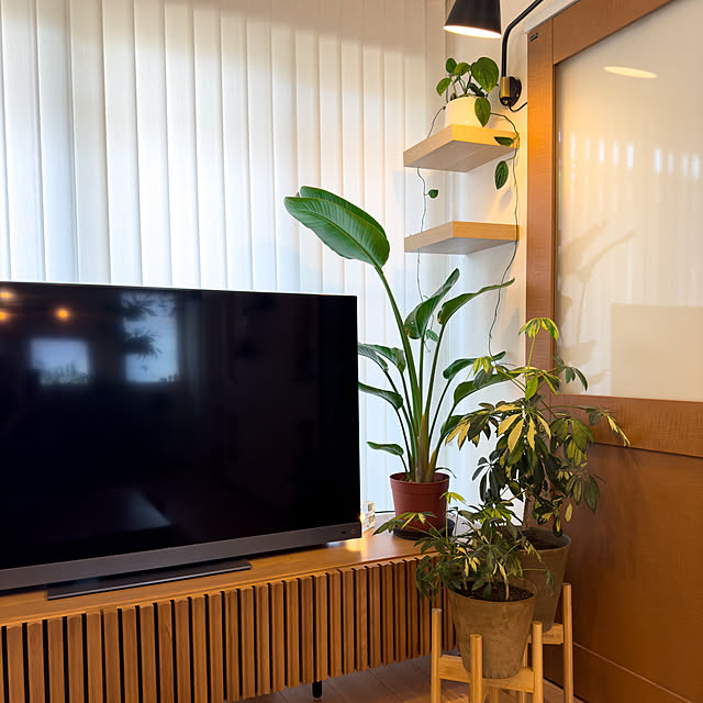 SABOTENさんの部屋