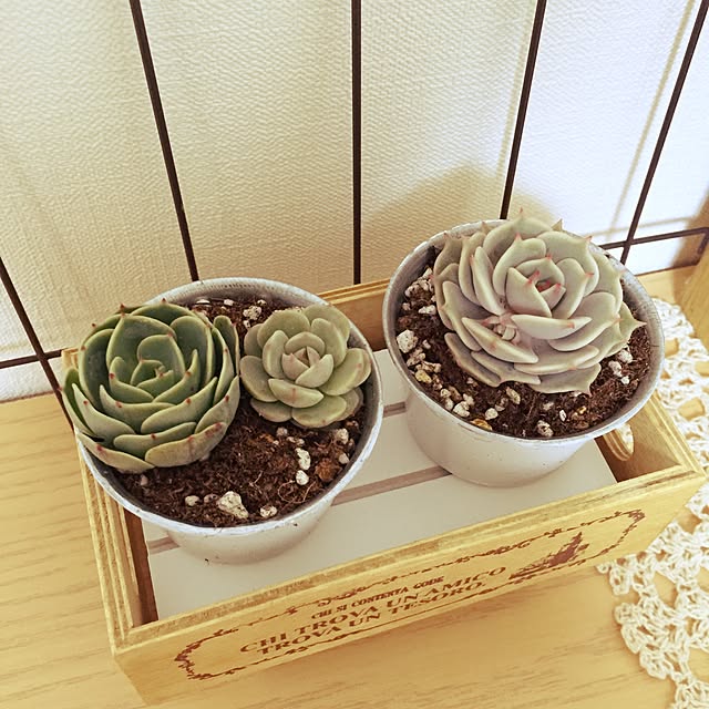 n.a.rさんの実例写真