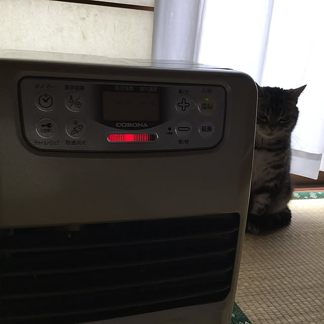 richanさんの実例写真