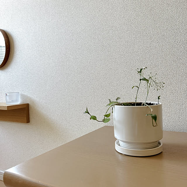 reichelさんの部屋
