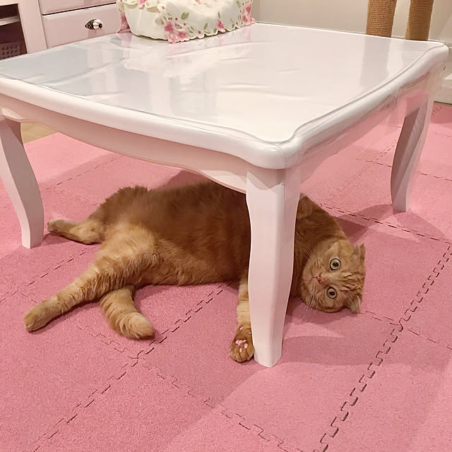 pinaminさんの実例写真