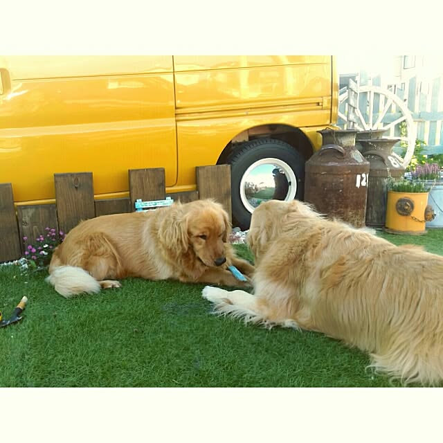 K.S.Rさんの実例写真