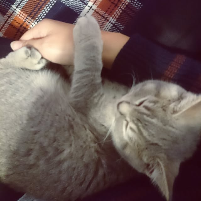 tamaさんの実例写真