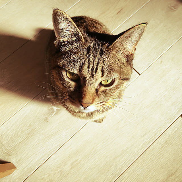 Mさんの実例写真