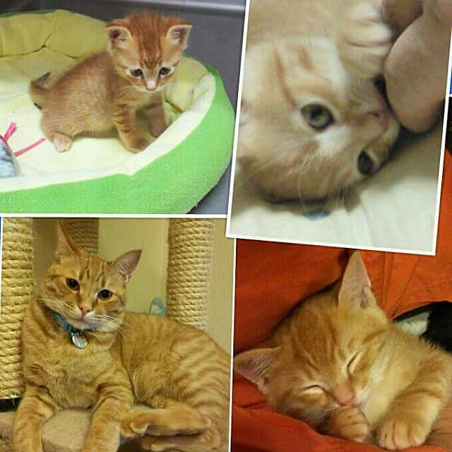 baruさんの実例写真