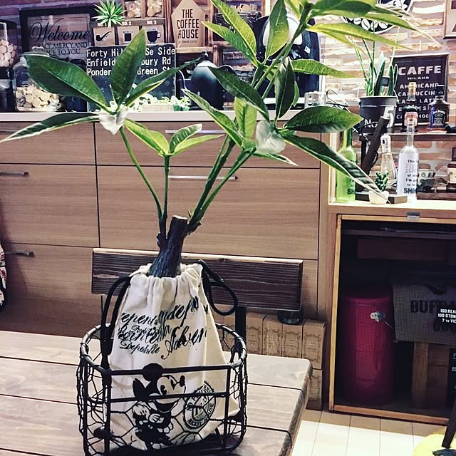 yokkochanさんの実例写真