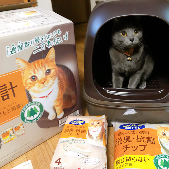 8717さんの実例写真