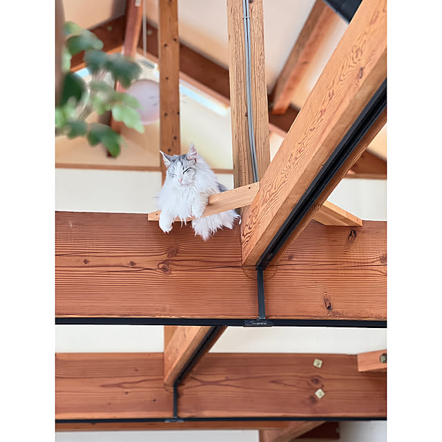 Kikko.さんの実例写真