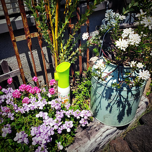 masarinn.さんの実例写真