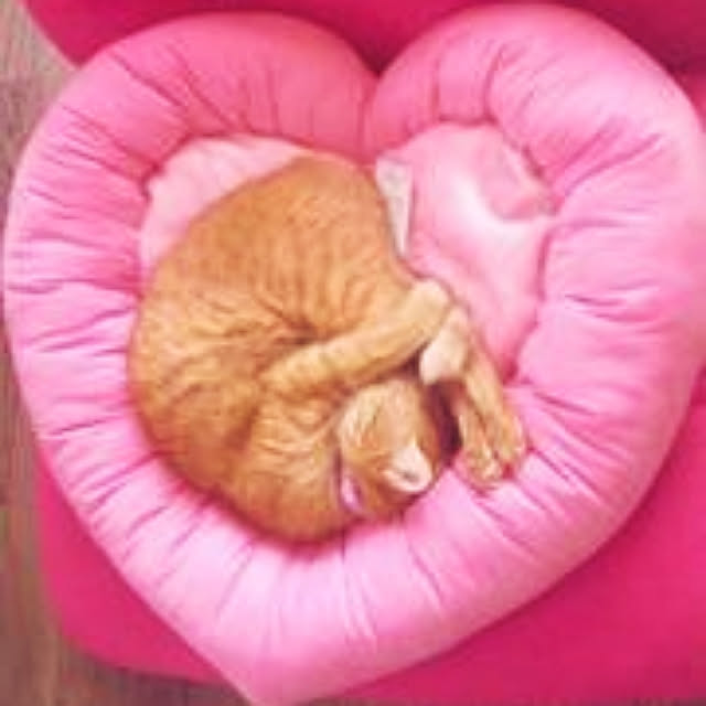 asuminさんの実例写真