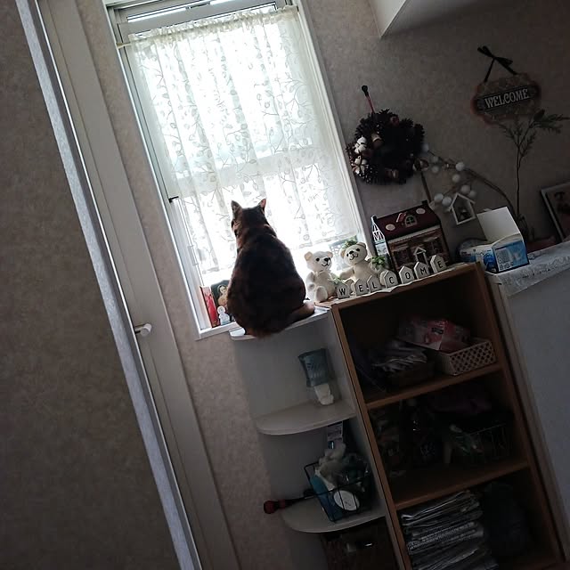 aiさんの実例写真