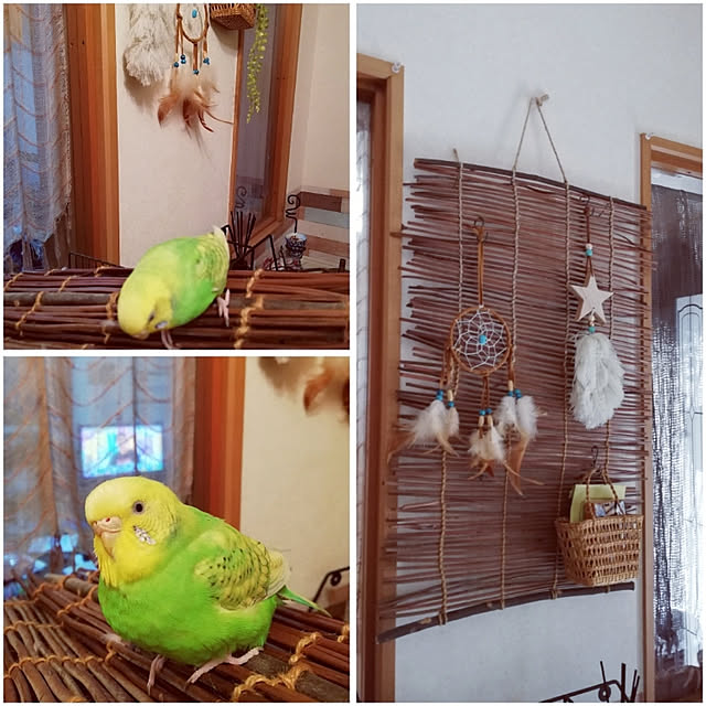 koikoiさんの実例写真