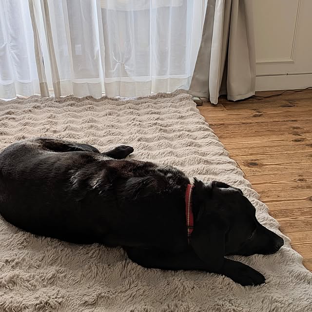 kik375さんの部屋