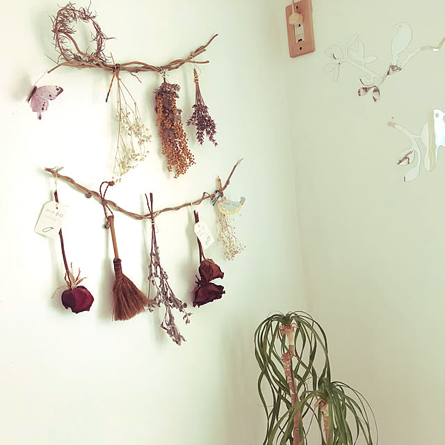 momorinさんの実例写真