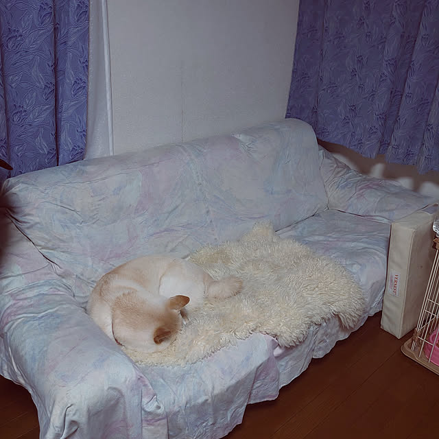 masutomi0305924さんの実例写真