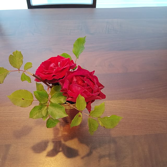 kira.kiraさんの実例写真