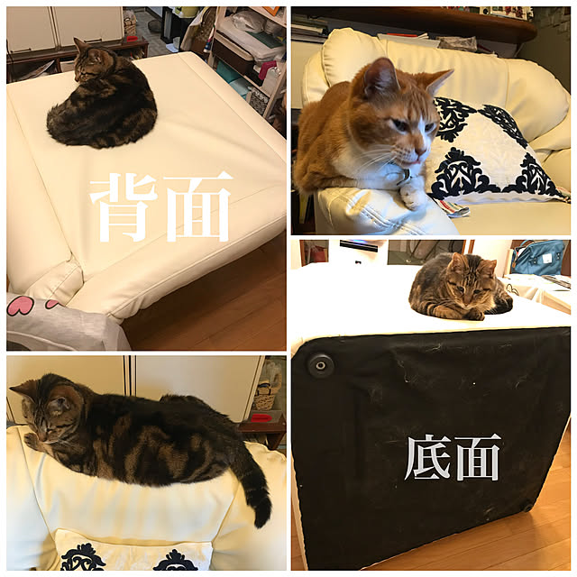 実例写真