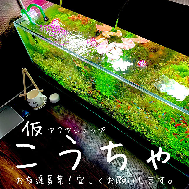 KAKさんの実例写真