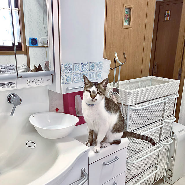 haruminさんの実例写真