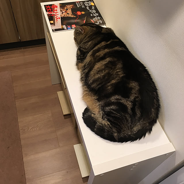 mikomaruさんの実例写真
