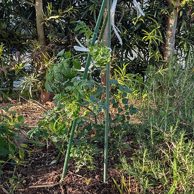 fuchan0930さんの部屋