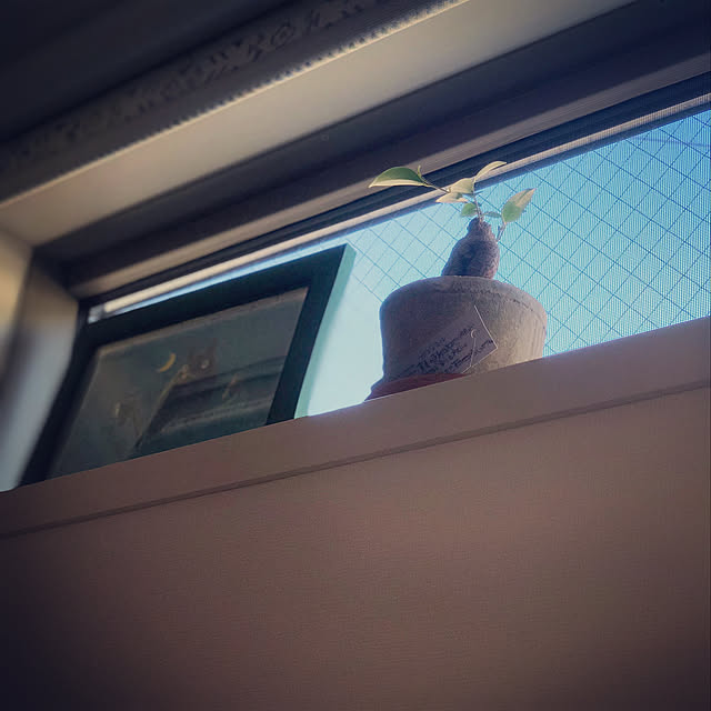 meg214さんの実例写真