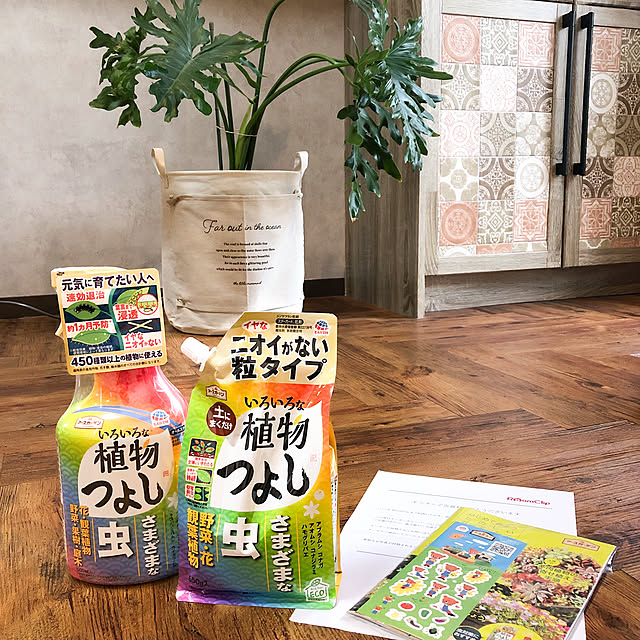KirinPandaさんの実例写真