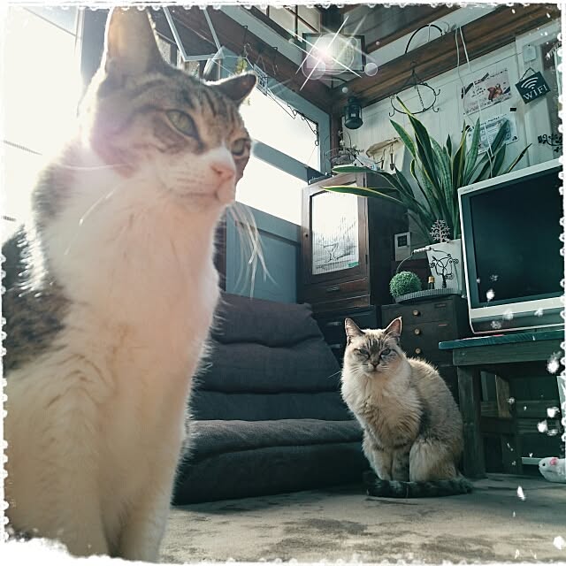 Nana40Nさんの実例写真